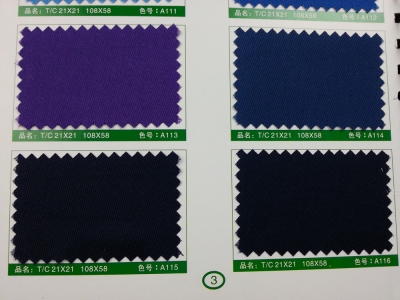 SD-DGYE   滌棉紗卡  T/C  21*21  108*58 細節-12